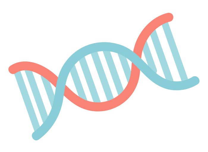dna helix